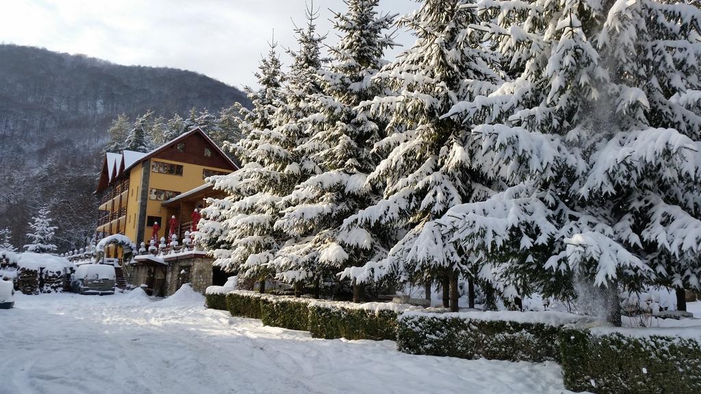 Pension Curmatura Stezii Răşinari Exterior foto