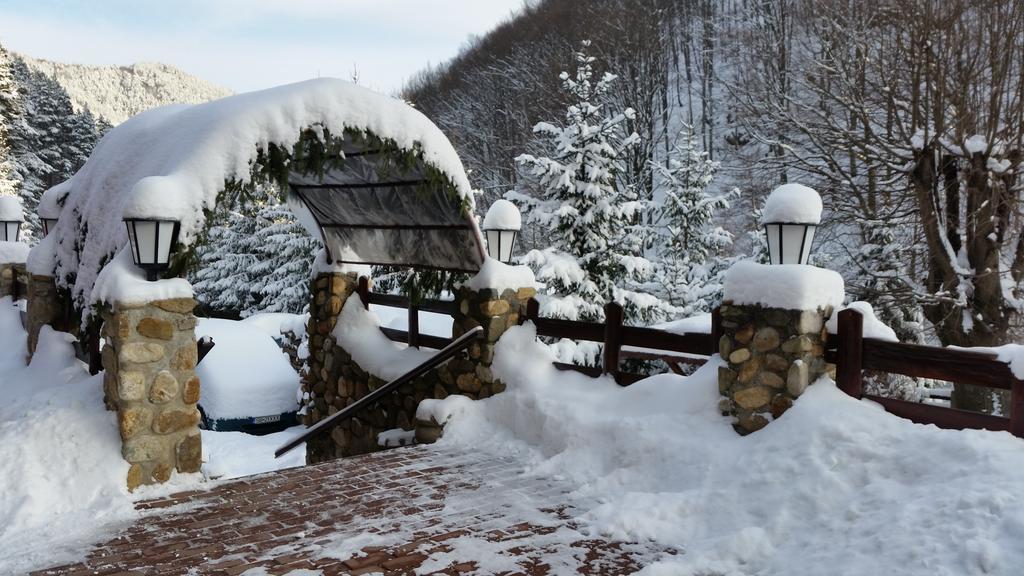 Pension Curmatura Stezii Răşinari Exterior foto