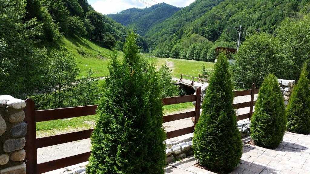 Pension Curmatura Stezii Răşinari Exterior foto